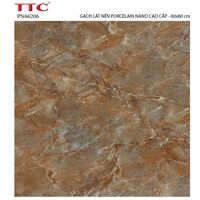 Gạch lát nền TTC PN66206 - 60x60