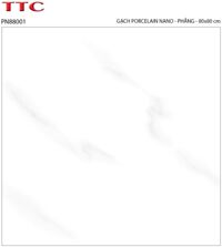Gạch lát nền TTC PN88001 - 80x80