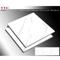 Gạch lát nền TTC PN88010 - 80x80