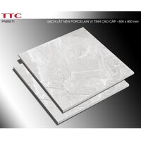 Gạch lát nền TTC PN88011 - 80x80