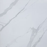 Gạch lát nền UNI 5411