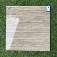 Gạch lát nền Viglacera 600x600 TB6804