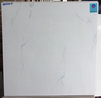 Gạch lát nền Viglacera 600x600 663011