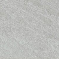 Gạch lát nền Viglacera VG6005 60x60