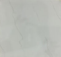 Gạch lát nền VN1-16333