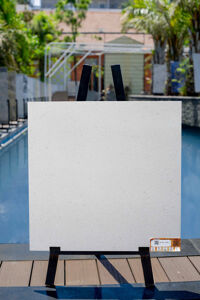 Gạch lát nền VN2-7766