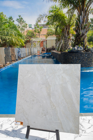 Gạch lát nền VN2-P408