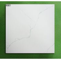 Gạch lát nền World Tiles 8301 kích thước 800x800