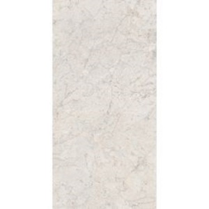 Gạch lát sàn Đồng Tâm 4080FANSIPAN008-H+ - 40x80