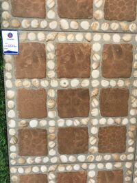 Gạch lát sân vườn Viglacera 500x500 GF5502