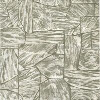 Gạch lát sân vườn Viglacera SV403