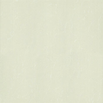 Gạch lát Taicera – P67763N (60×60)