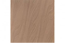 Gạch men lát nền Taicera F25A11