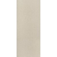 Gạch men ốp tường Đồng Tâm 2560TIENSA001 - 25x60