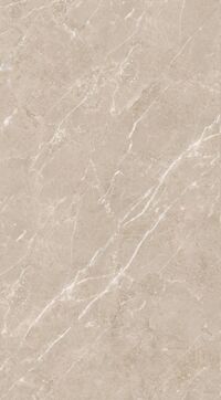 Gạch ốp lát Apodio 60x120 61222011