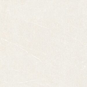 Gạch ốp lát Đồng Tâm 3030GECKO002