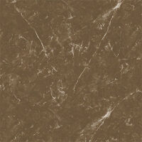 Gạch ốp lát KIS 60x60 K60007C-PA