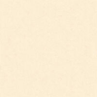 Gạch ốp lát KIS 60x60 K60034B-Y