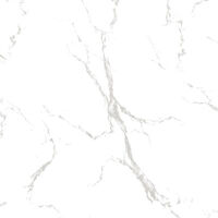 Gạch ốp lát KIS 60x60 V60027-PA