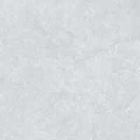 Gạch ốp lát Prime 50×50 2531