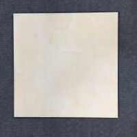 Gạch ốp lát Prime 50×50 2630