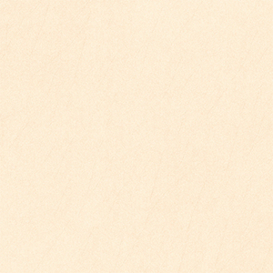 Gạch ốp lát Prime 50×50 9388