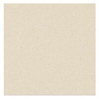 Gạch ốp lát Taicera G49005 (40x40)