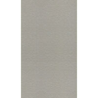 Gạch ốp lát Taicera – G63548 (30x60)