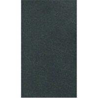 Gạch ốp lát Taicera - G63919 (30x60)