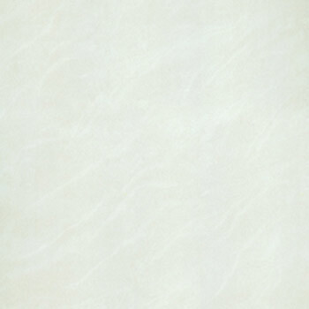 Gạch ốp lát Taicera – P67025N (60x60)