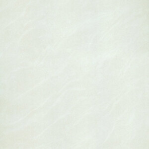 Gạch ốp lát Taicera – P67025N (60x60)