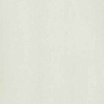 Gạch ốp lát Taicera – P67312N (60×60)
