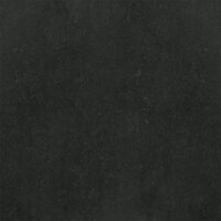 Gạch ốp lát Taicera – P67319N (60x60)