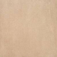 Gạch ốp lát Vietceramics 60BZZ610