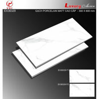 Gạch ốp tường 30×60 TTC EX36329