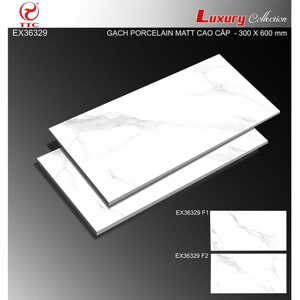 Gạch ốp tường 30×60 TTC EX36329