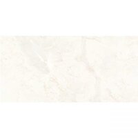 Gạch ốp tường 30×60 TTC Ceramic CB36025