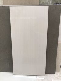 Gạch ốp tường 30x60 Mikado CT3620