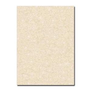 Gạch ốp tường Đồng Tâm 3060NHATRANG001 - 30x60