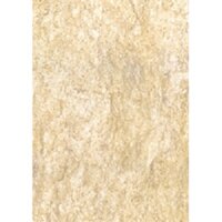 Gạch ốp tường Đồng Tâm 30x60 3060FOSSIL001