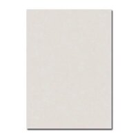 Gạch ốp tường Đồng Tâm 3060PHUSA001 - 30x60