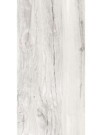 Gạch ốp tường Eurotile 45×90 MOL I01