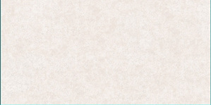 Gạch ốp tường Prime 30x60 9978