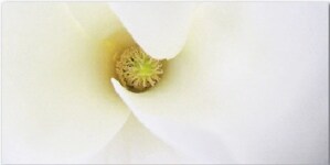 Gạch ốp tường Thạch Bàn 30x60 THP36-006-32