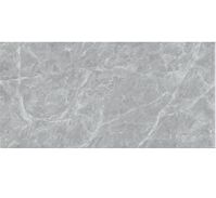 Gạch ốp tường TTC 30x60 WB36078