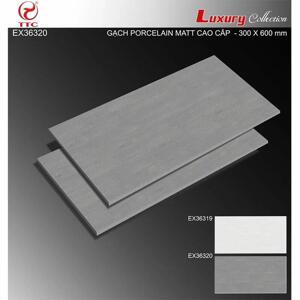 Gạch ốp tường TTC EX36320 - 30x60