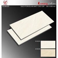 Gạch ốp tường TTC EX36325 - 30x60