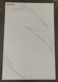 Gạch ốp tường Viglacera 300x600 KR3611