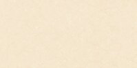 Gạch ốp tường Viglacera 30×60 F3620