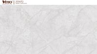 Gạch ốp tường Vitto 30×60 2564